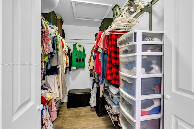 spacious closet featuring hardwood / wood-style flooring