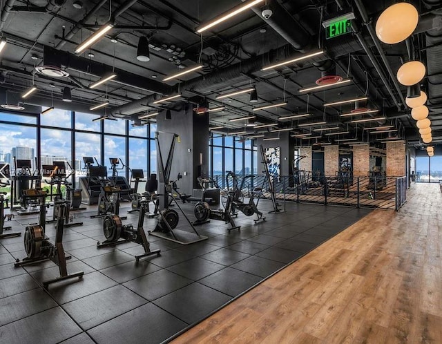 gym featuring hardwood / wood-style flooring and floor to ceiling windows