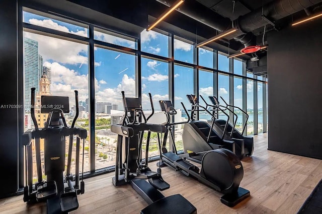 gym featuring hardwood / wood-style floors and expansive windows