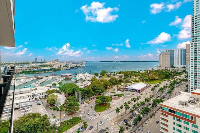 birds eye view of property with a water view