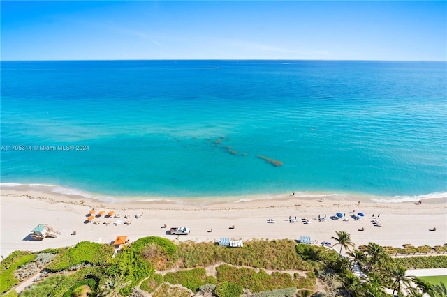 property view of water with a beach view