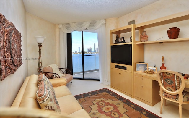 living room with carpet floors and a textured ceiling