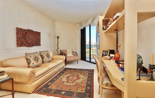 living room with carpet floors and a textured ceiling