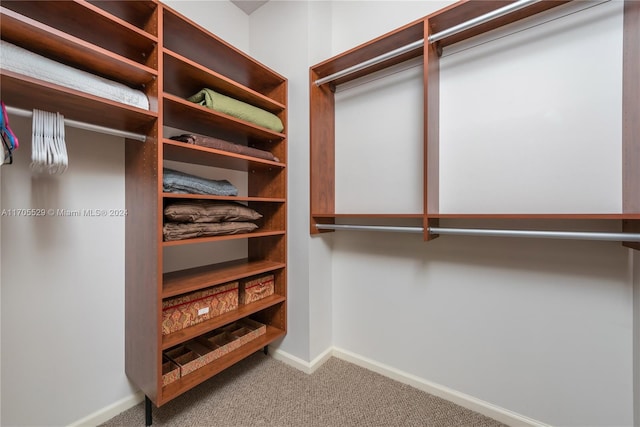 spacious closet with carpet flooring