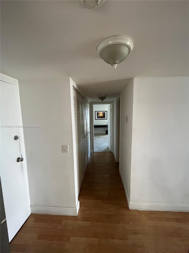 hallway featuring dark wood-type flooring