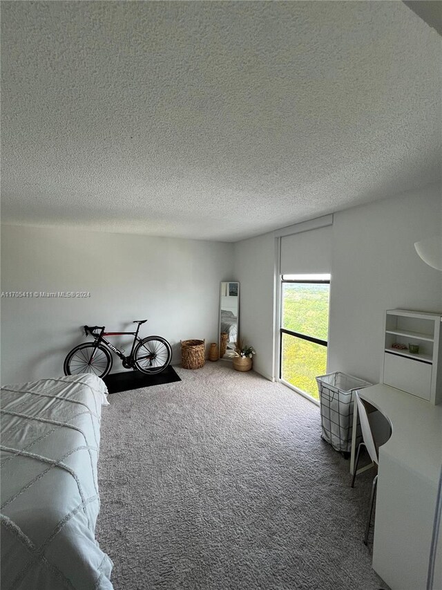 13499 Biscayne Blvd Unit 1601, North Miami, FL 33181 - bedroom featuring carpet floors and a textured ceiling