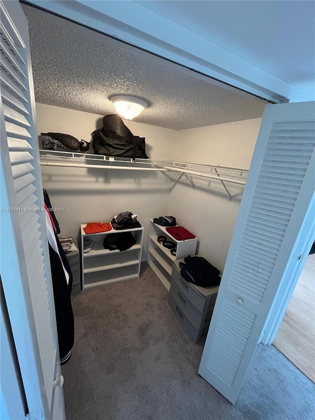 walk in closet featuring carpet