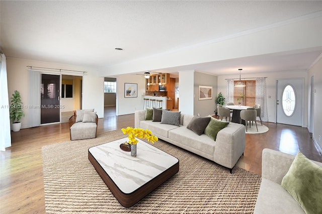 living room with ornamental molding, plenty of natural light, and light hardwood / wood-style floors