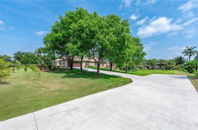 view of property's community featuring a yard