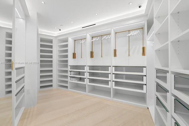 walk in closet with hardwood / wood-style flooring