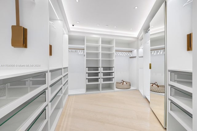 spacious closet featuring a raised ceiling and light wood-type flooring