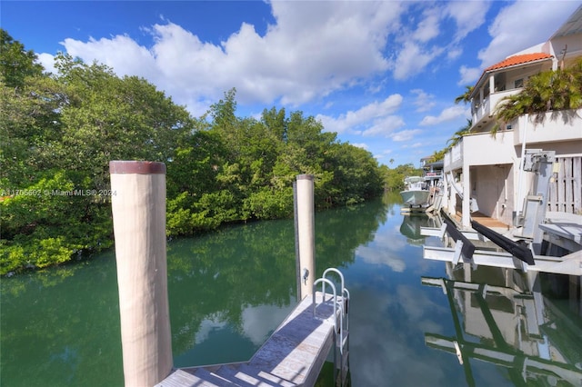 dock area featuring a water view