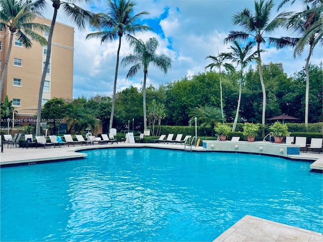 view of pool with a patio area