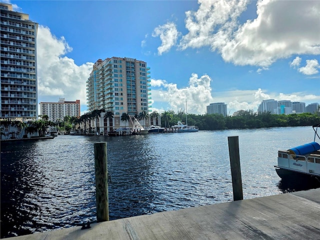 dock area with a water view