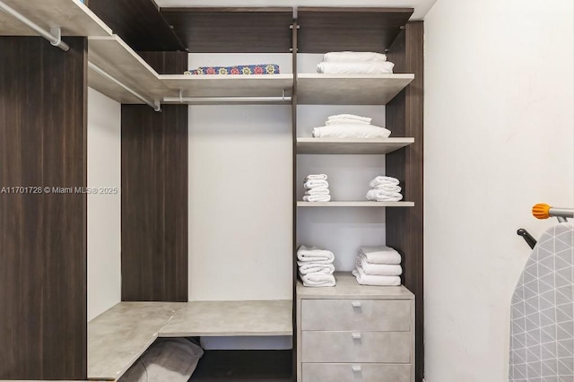 view of walk in closet