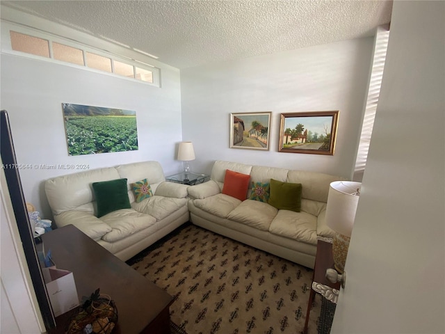 living room featuring carpet and a textured ceiling