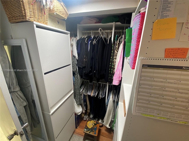 view of walk in closet