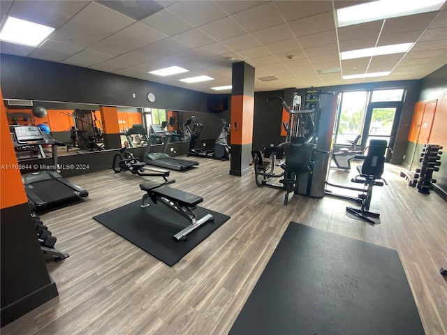 gym featuring a drop ceiling and light wood-type flooring