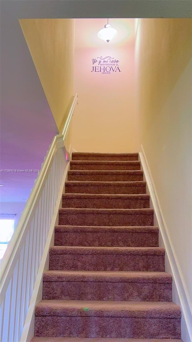 stairway featuring carpet floors