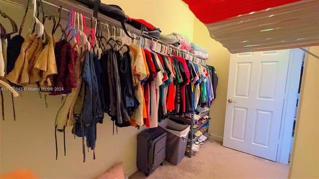 spacious closet with light carpet