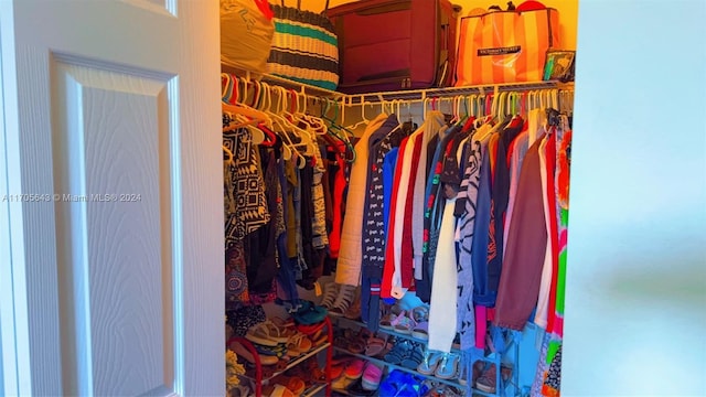 view of walk in closet