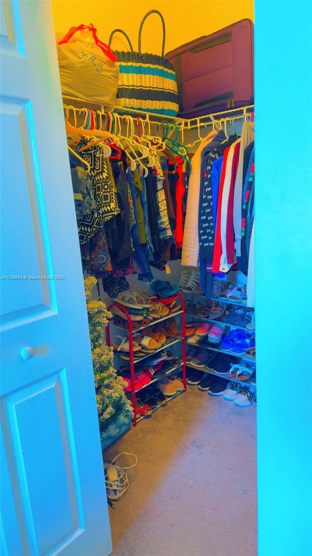 walk in closet featuring carpet flooring