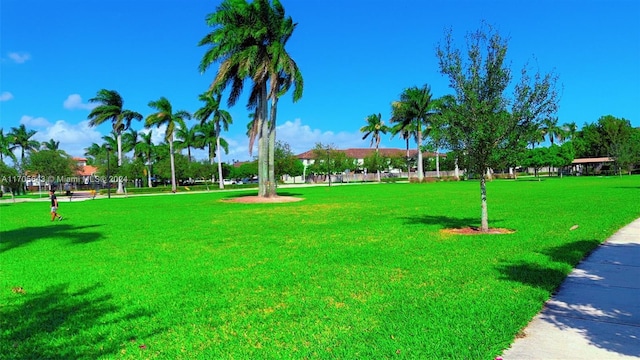 view of home's community featuring a lawn