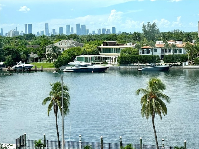 property view of water with a dock