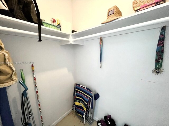 view of spacious closet