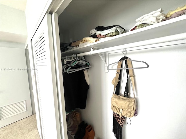 view of closet