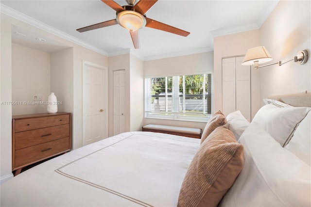 bedroom featuring ceiling fan, ornamental molding, and multiple closets