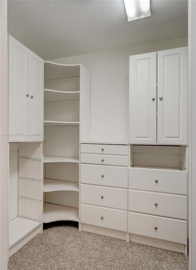 spacious closet featuring carpet floors