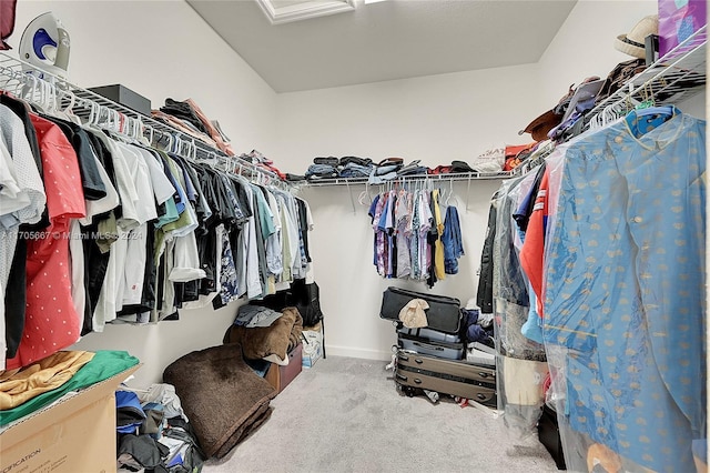 walk in closet featuring carpet flooring