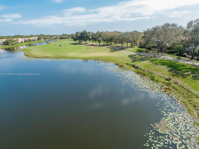 property view of water