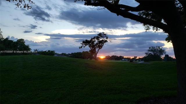 view of yard at dusk