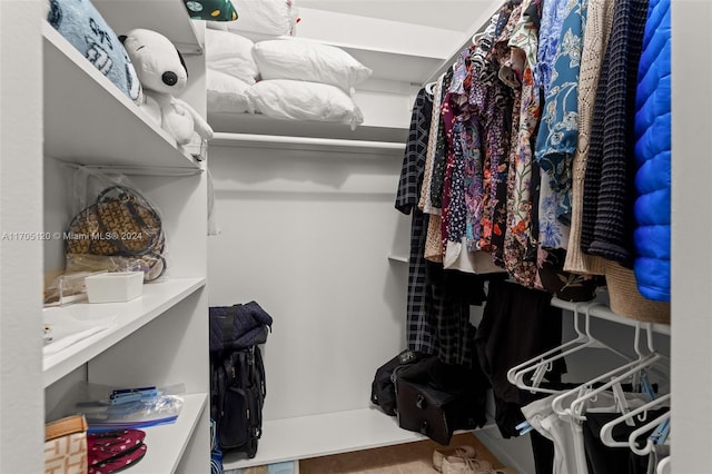 view of spacious closet