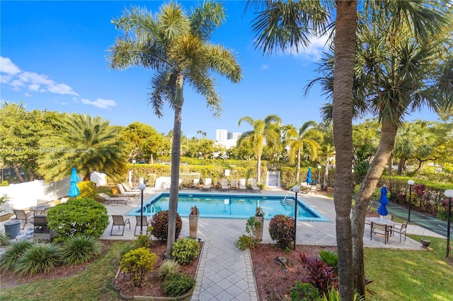 view of swimming pool featuring a patio area