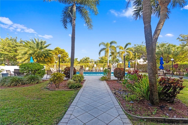 view of community with a pool