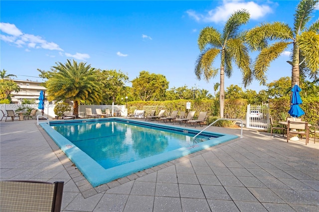 view of pool featuring a patio area