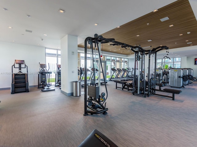 workout area featuring carpet and a healthy amount of sunlight