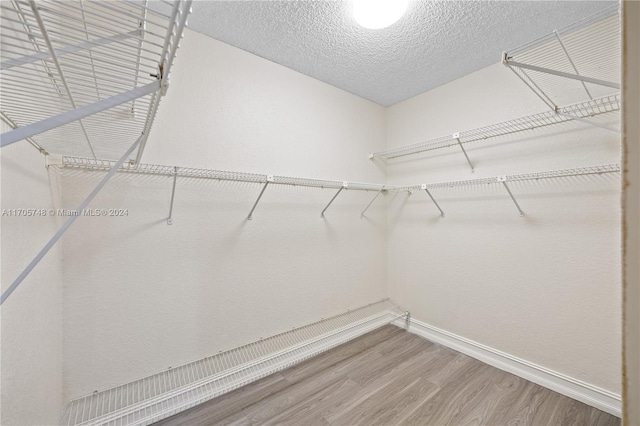 spacious closet featuring hardwood / wood-style floors