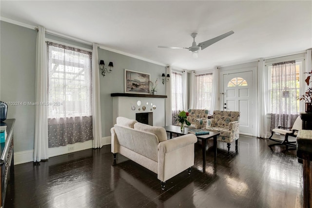 living room featuring ceiling fan, crown molding, and dark wood-type flooring