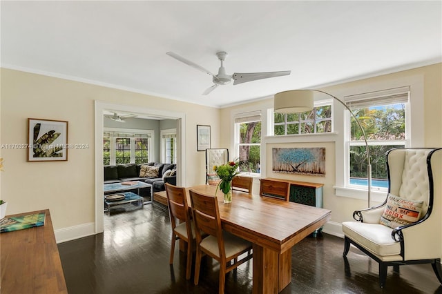 dining area featuring dark wood-type flooring and a wealth of natural light