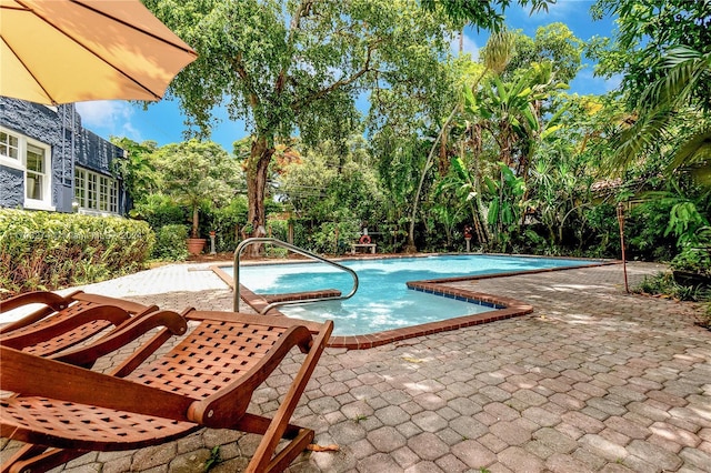 view of swimming pool with a patio