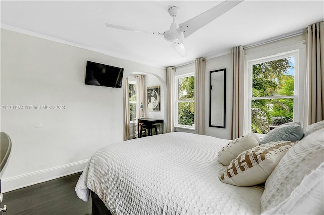 bedroom with multiple windows, ceiling fan, crown molding, and dark hardwood / wood-style floors