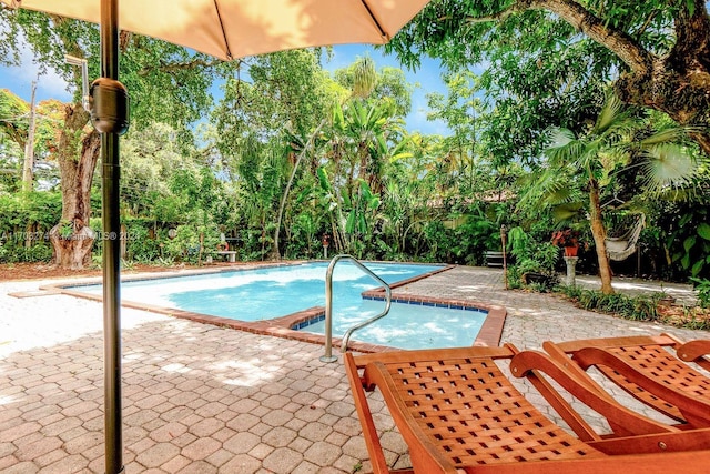 view of swimming pool featuring a patio area