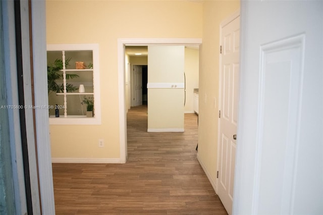 hall featuring wood-type flooring