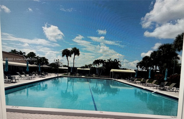 view of pool with a patio