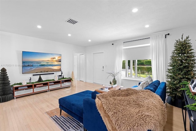 living room featuring light hardwood / wood-style floors