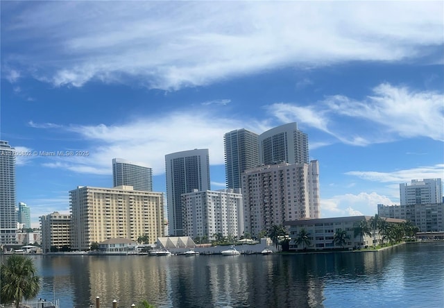 property's view of city featuring a water view